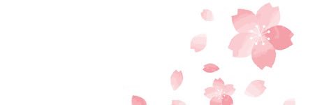 sakuraaa41's profile banner image