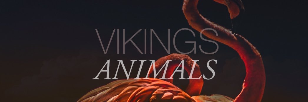 vikingsmusic's profile banner image