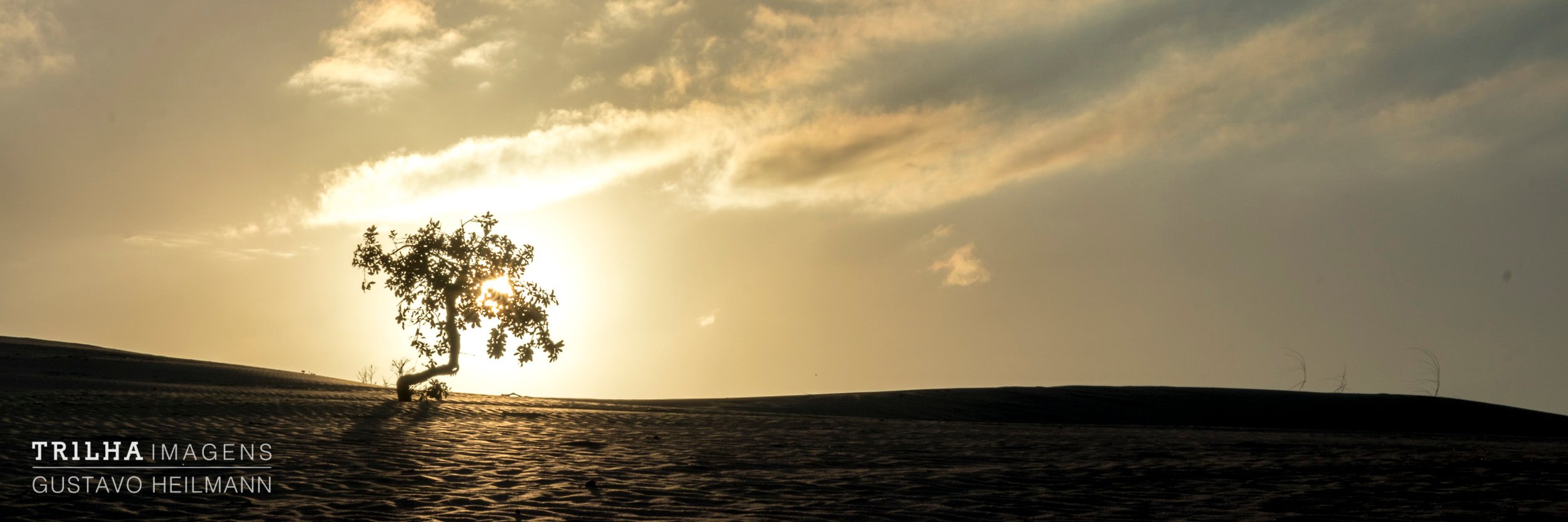GustavoHeilmann's profile banner image