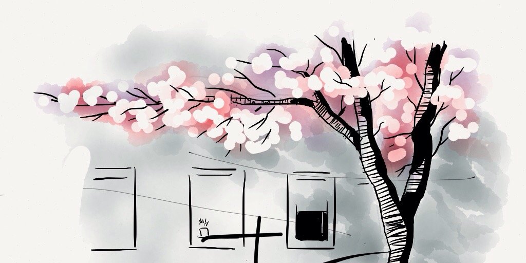 AngelesNavarroR's profile banner image