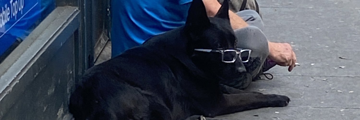 swagdinn's profile banner image