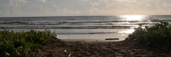 drddath Profile Banner