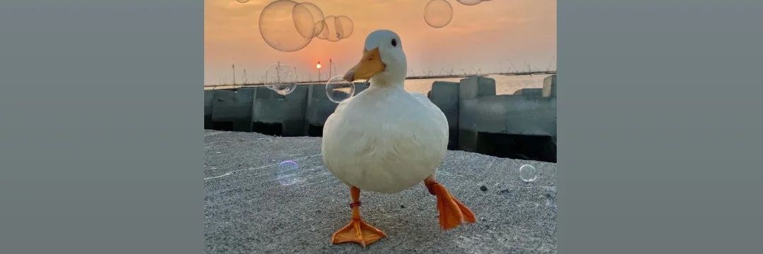 Sedef__kaya_'s profile banner image