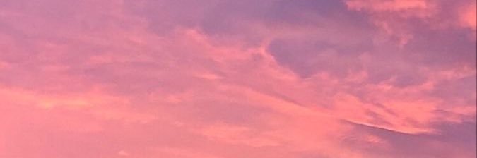 daniela_Sada's profile banner image