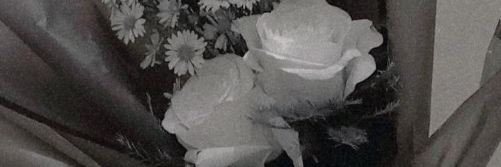 manduu🥟 banner