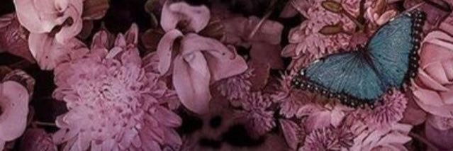Yesaacosta's profile banner image