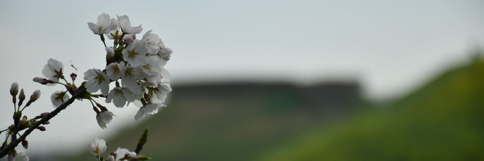 deep7864's profile banner image
