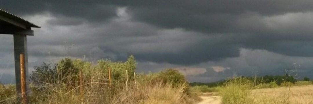 Verano Marrano banner