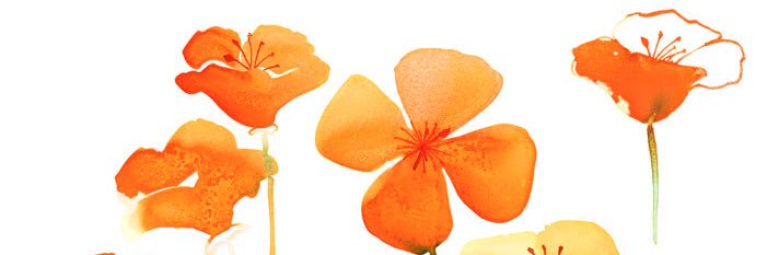 emelainestrat's profile banner image