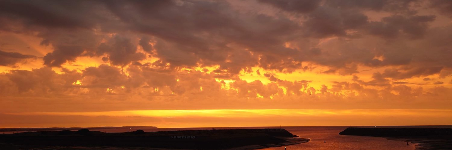 OptDante🏴󠁧󠁢󠁥󠁮󠁧󠁿🇬🇧🐶 banner