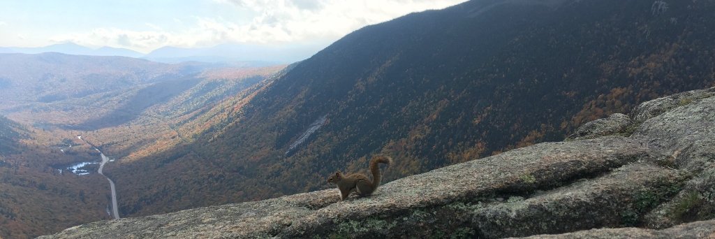 wyman_editor's profile banner image