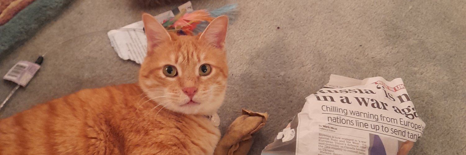 Tinkerpuss 🇬🇧 banner