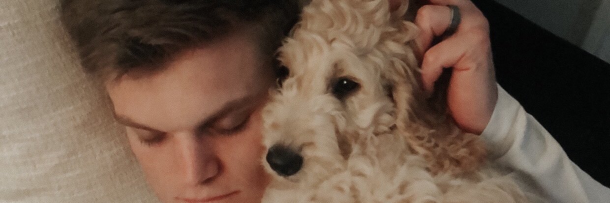 HowesHailey's profile banner image