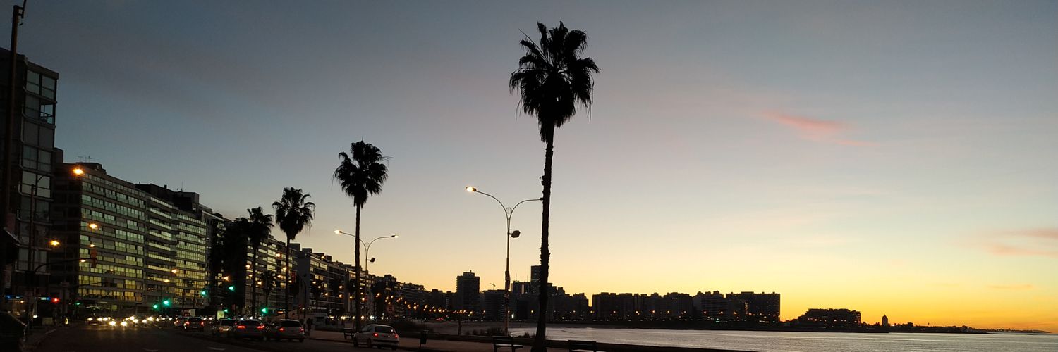dzarazola's profile banner image