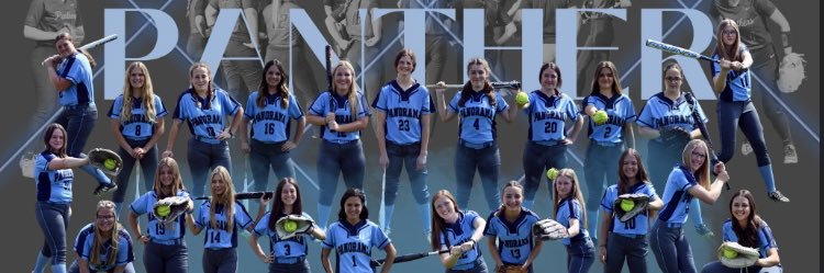 Panorama Softball banner