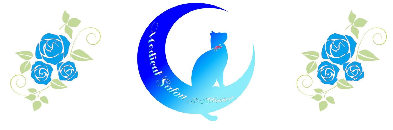 SalonAlma55's profile banner image