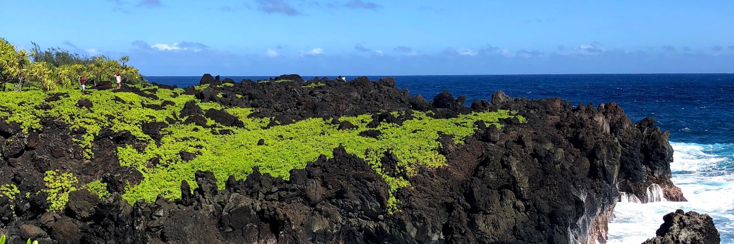 Harrison Besser banner