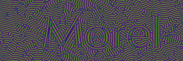 morel_lang Profile Banner