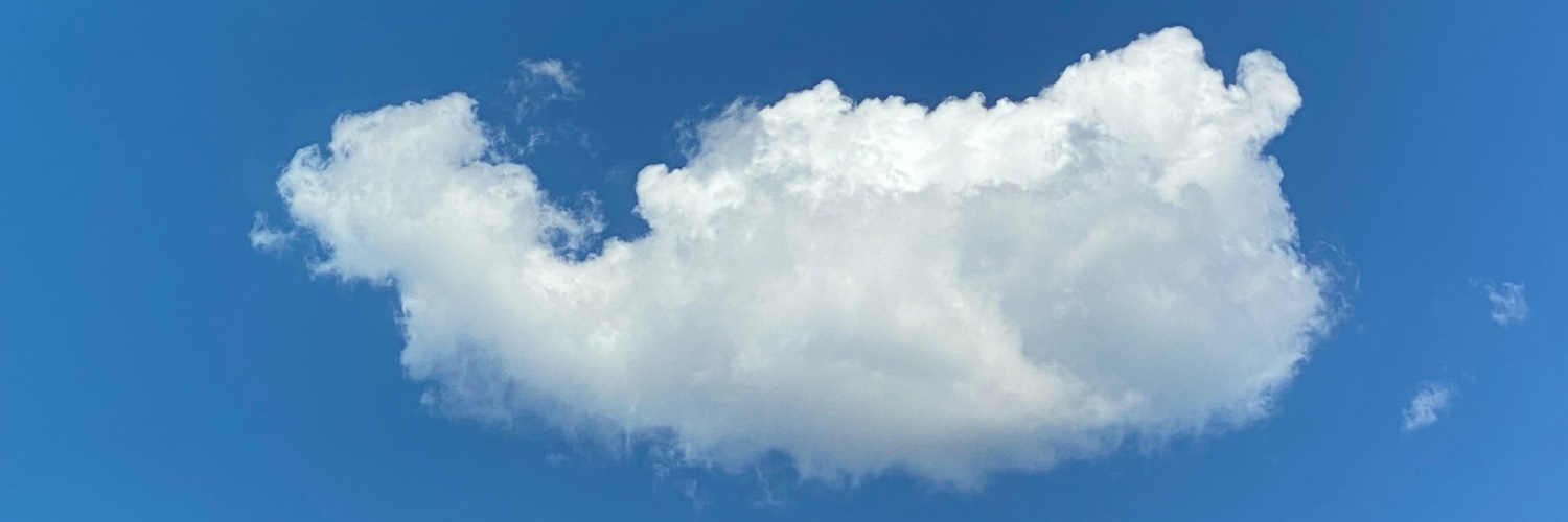 susanbeebe's profile banner image