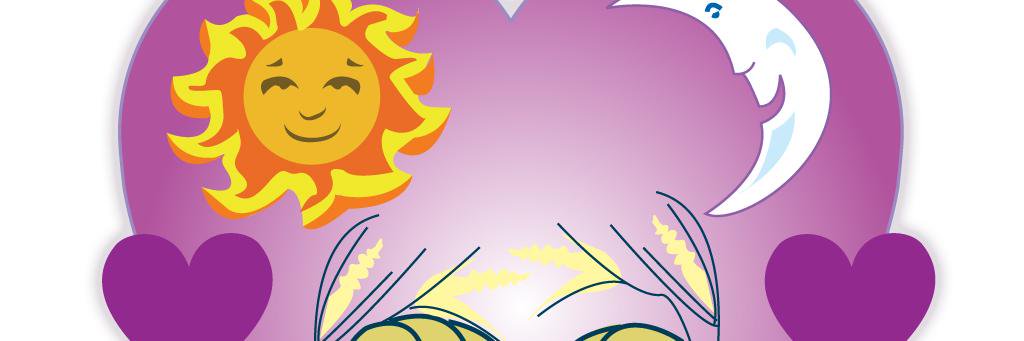 SilvanaRidner's profile banner image