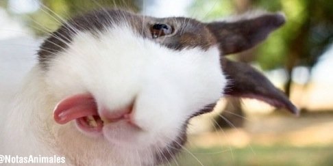 VilmitaRubiio's profile banner image