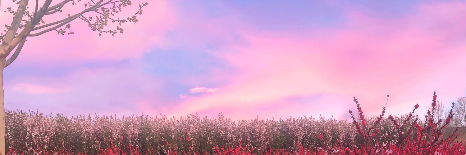 weyucaser2000's profile banner image