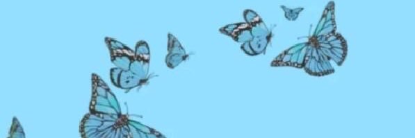 bella_pewe's profile banner image