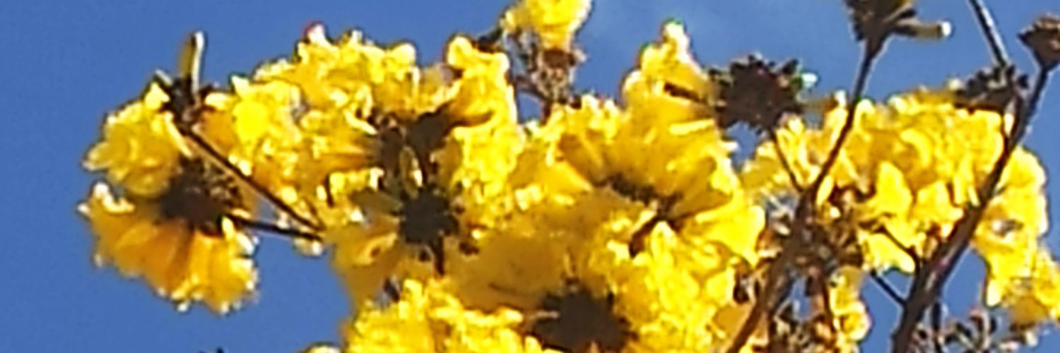 hgbondv's profile banner image