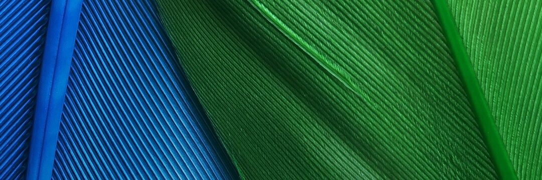 dong257's profile banner image