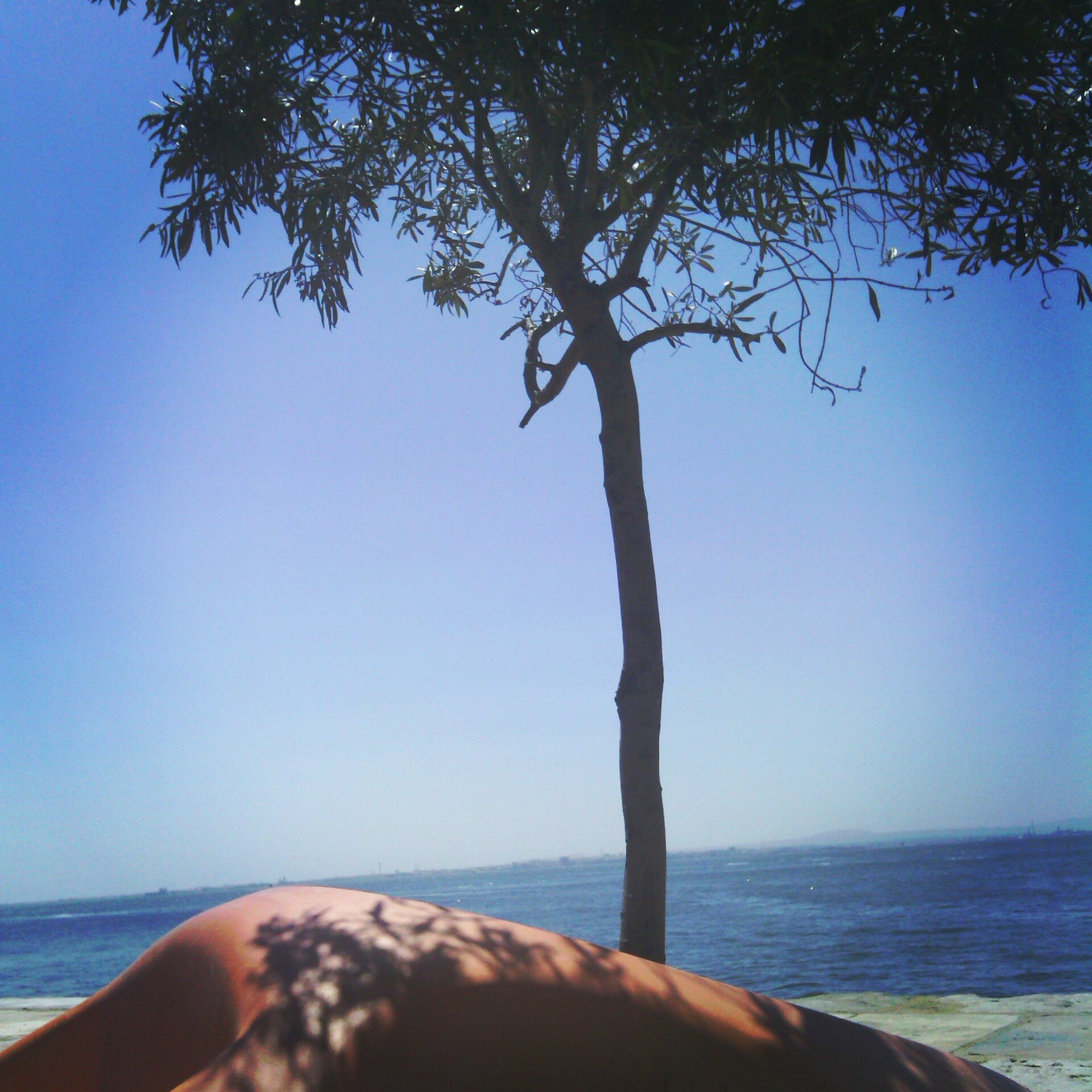 Bárbara Santos banner