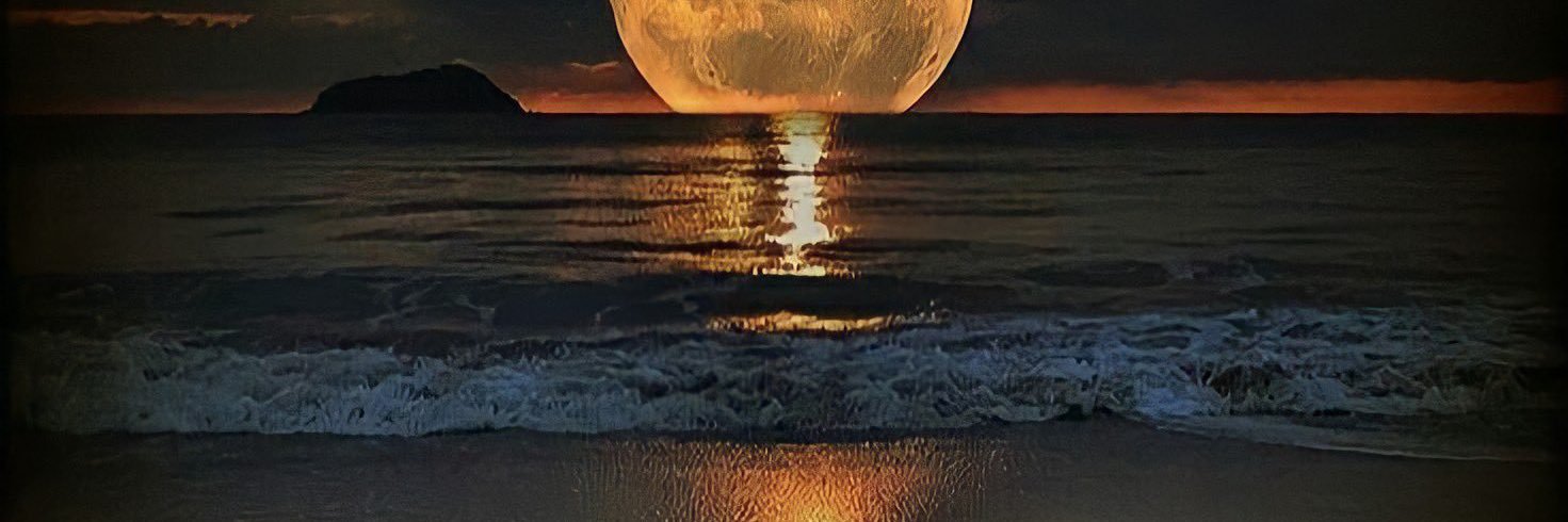 Meriem38810311's profile banner image