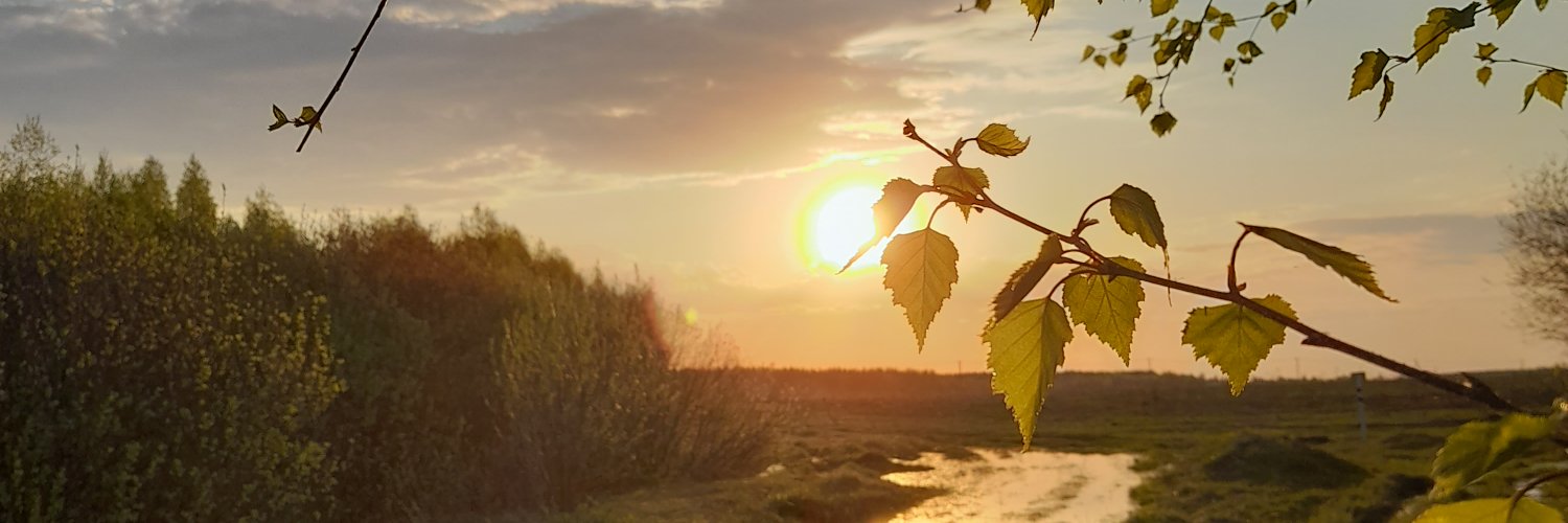 Тишина banner