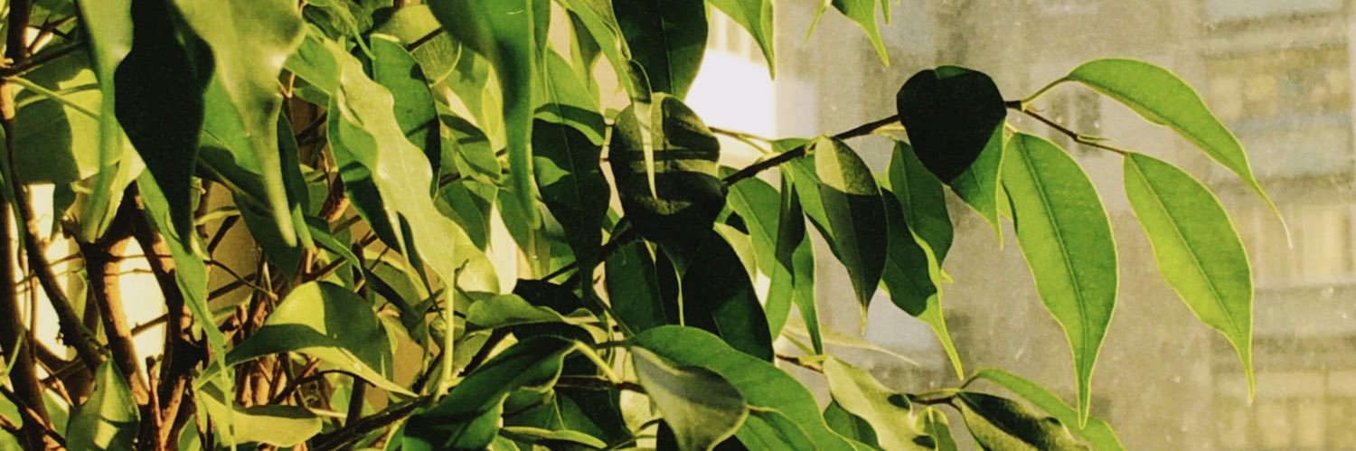 † мЫслитель † banner