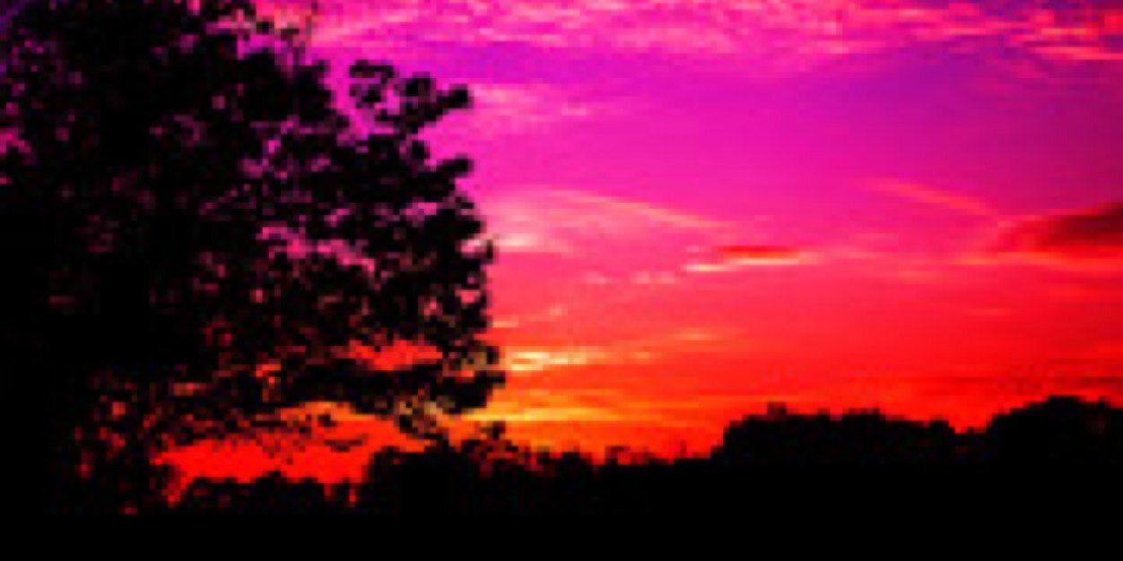bee_stingin's profile banner image