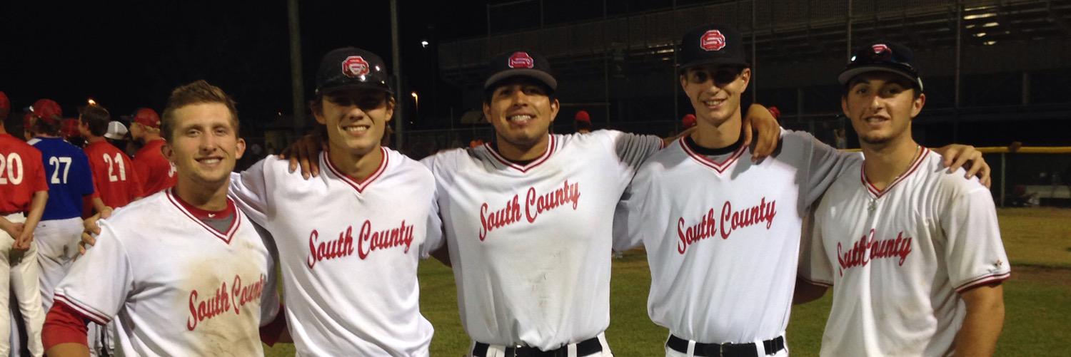 South County Vipers banner