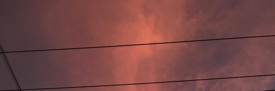 coralsmares's profile banner image