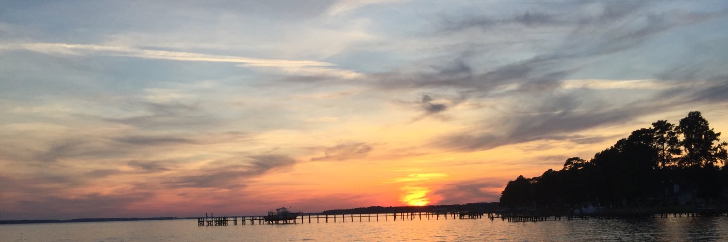 catherinetrox's profile banner image
