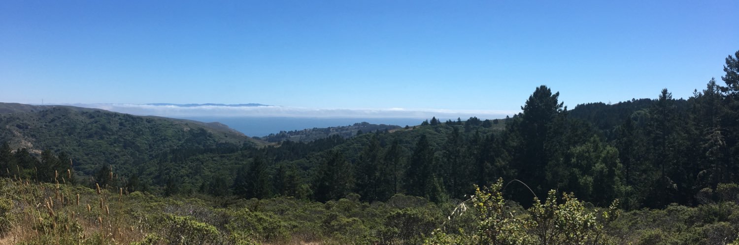 Min and her Cat banner