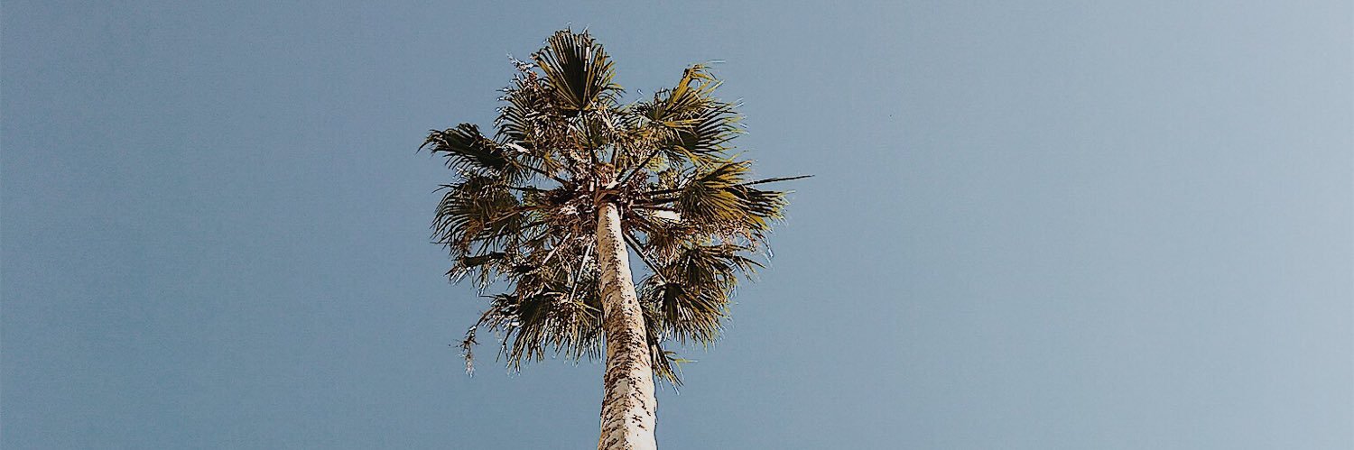 PellacaniAndres's profile banner image