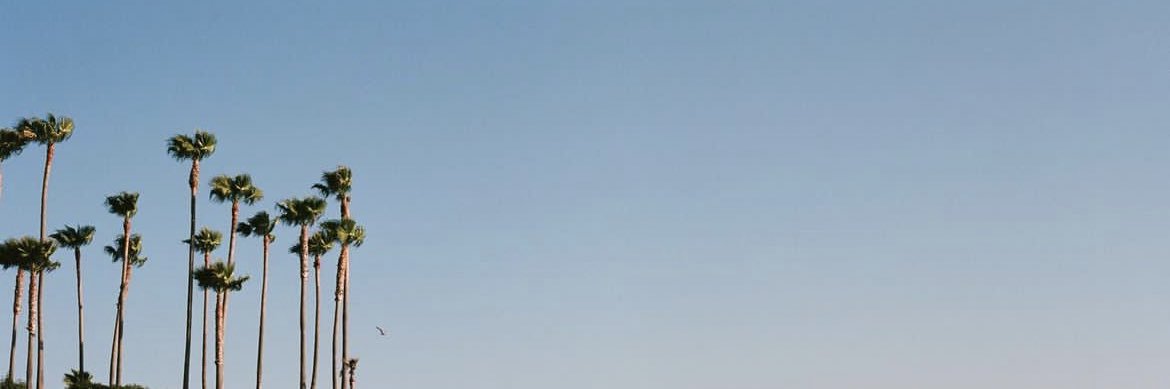 fabian2121's profile banner image