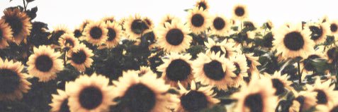 c. banner