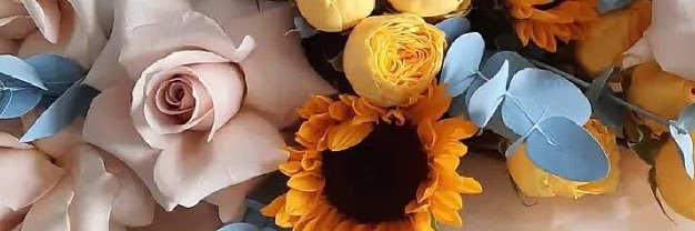 laurapdraz's profile banner image