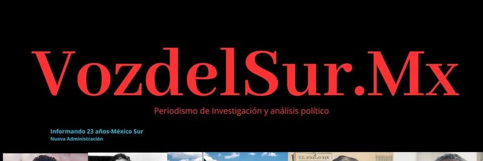 Vozdelsur banner
