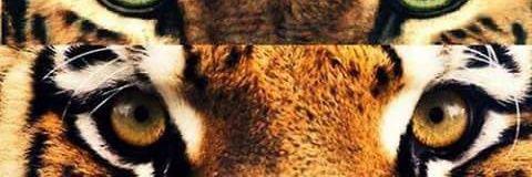 Lulaah_93's profile banner image