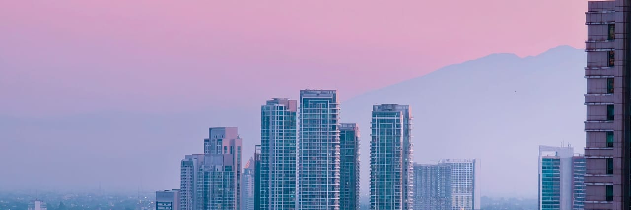 Pandanessia's profile banner image