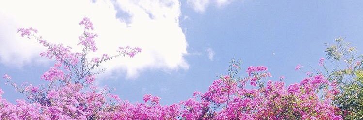 graceannegrace's profile banner image