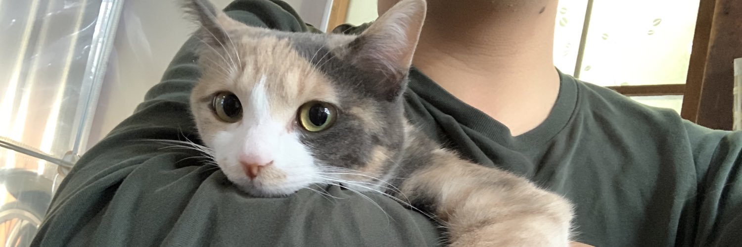 miya banner