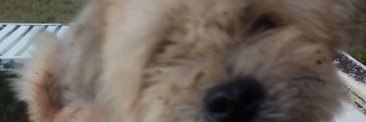 doank_ernes's profile banner image