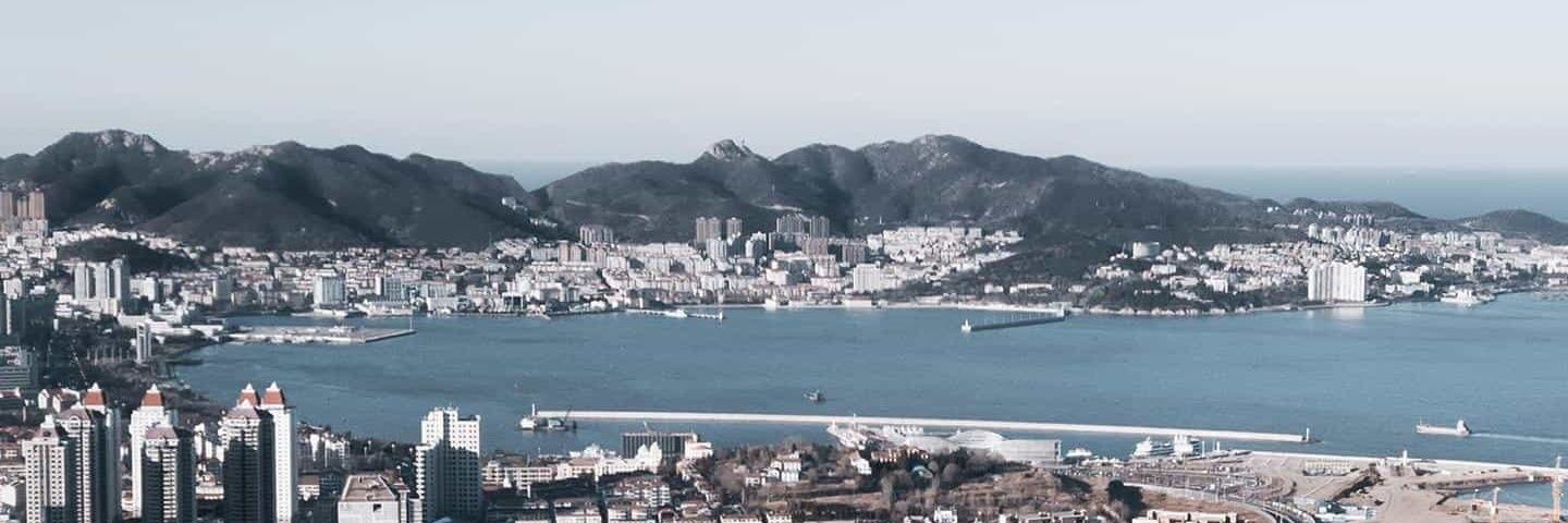 KellyDegenNFT banner