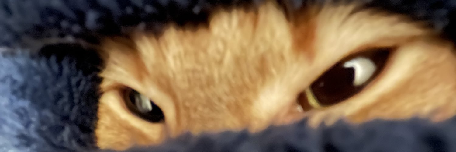 Cody_McCock's profile banner image